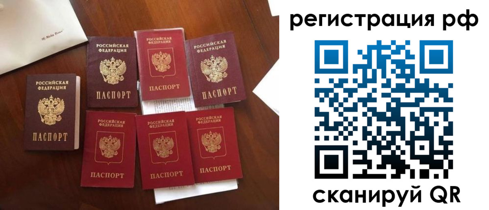 пропишу в квартире в Острове